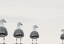 Na czym polega system zintegrowanej komunikacji marketingowej? Na czym polega system zintegrowanej komunikacji marketingowej?