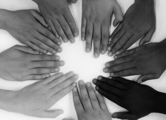 Na co dzielimy kulturę?