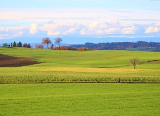 Ile to jest 20 000 brutto?