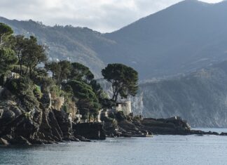 Ile kosztuje umieszczenie aplikacji w sklepie Play?