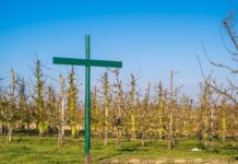 Czy regulamin pracy zdalnej jest obowiązkowy 2023? Czy regulamin pracy zdalnej jest obowiązkowy 2023?