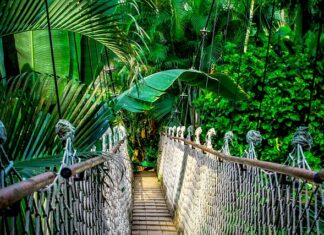 Ile kosztuje kurs na IT? Ile kosztuje kurs na IT?