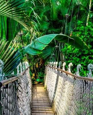 Ile kosztuje kurs na IT?