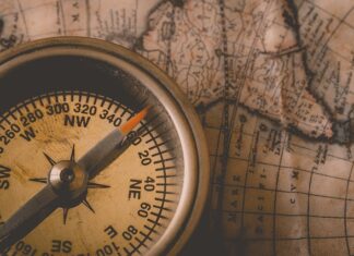 Czy trzeba poinformować pracodawcę o stopniu niepełnosprawności?