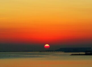 W jakie akcje warto inwestować?