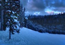 Czy licencjat to wyższe niepełne?