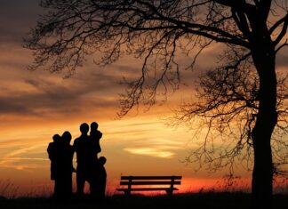 Czym różni się świadczenie pielęgnacyjne od zasiłku pielęgnacyjnego?