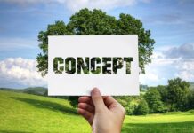 Co dają metody aktywizujące w przedszkolu? Co dają metody aktywizujące w przedszkolu?