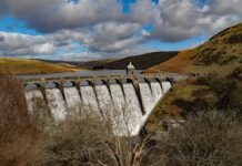 Czy coach to zawód? Czy coach to zawód?