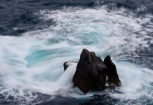 Czy ceny mieszkań spadną w 2024?