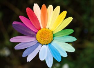 Jak walczyć z dyskryminacją osób niepełnosprawnych?