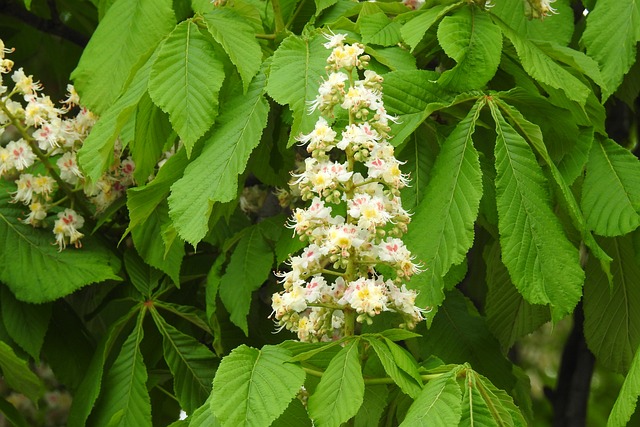 Jakie wyniki z matury na informatykę? Jakie wyniki z matury na informatykę?