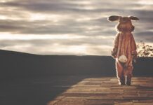 Jak wygląda indywidualny program nauczania? Jak wygląda indywidualny program nauczania?