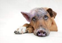 Czego uczy coaching? Czego uczy coaching?