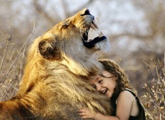 Jaka najlepsza bazą danych?