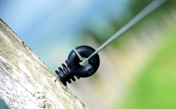 Ile procent Polaków zna rosyjski?