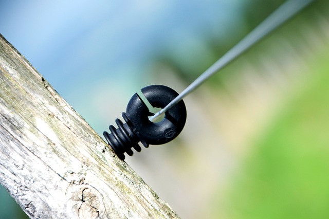 Ile procent Polaków zna rosyjski? Ile procent Polaków zna rosyjski?