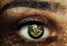 Jak skutecznie wspierać ucznia zdolnego w rozwoju? Jak skutecznie wspierać ucznia zdolnego w rozwoju?