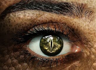 Jak skutecznie wspierać ucznia zdolnego w rozwoju?