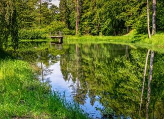 Co wpływa na przyciągnięcie inwestorów do Polski?