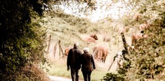 Ile trzeba zarabiać żeby mieć emeryturę 5000?