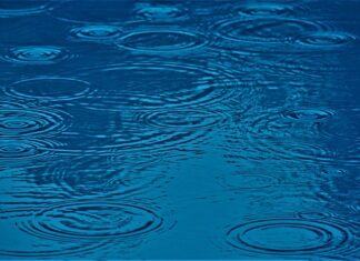 Co ma wpływ na kulturę organizacyjną?