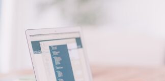 Ile zarabia senior SEO